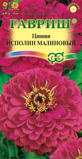 Исполин Малиновый Ц(Г)