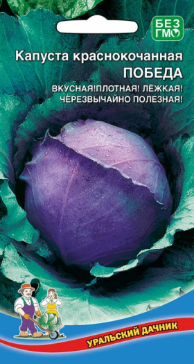 к\к Победа Ц(УД)