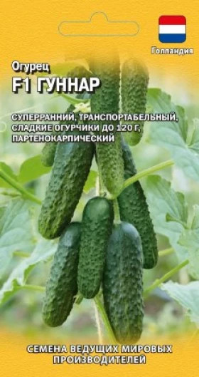 Гуннар 5шт.Ц(Г)