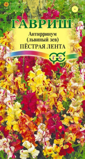 Пестрая лента  Ц(Г)