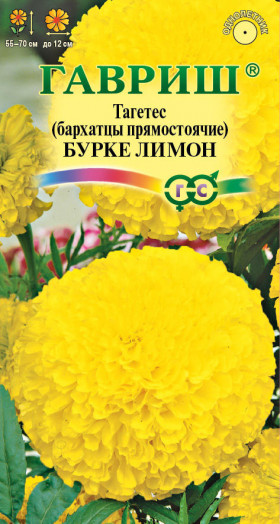 Бурке Лимон Ц(Г)