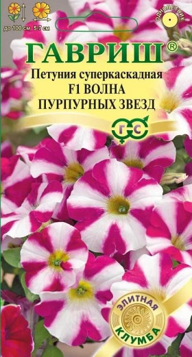 Волна пурпурных звезд  Ц(Г)