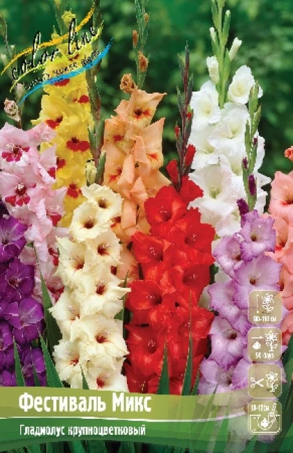 Фестиваль Микс 12/14 6шт