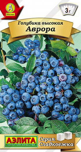 голубика Аврора высокая Ц(А)