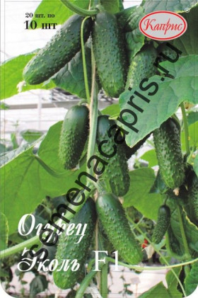 Огурец Эколь Каприс