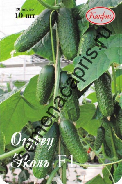 Огурец Эколь Каприс