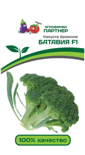 брокколи Батавия 10шт Партнер