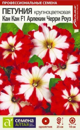 Кан Кан Арлекин Черри роуз 5шт Ц(Алт)