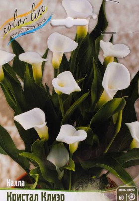 Кристал Клиэр 2шт