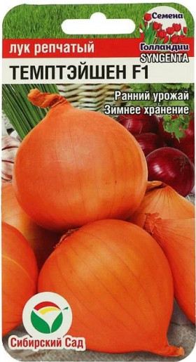 Темптэйшен СС