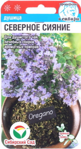 Северное сияние СС