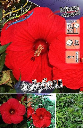 Файрболл\2шт