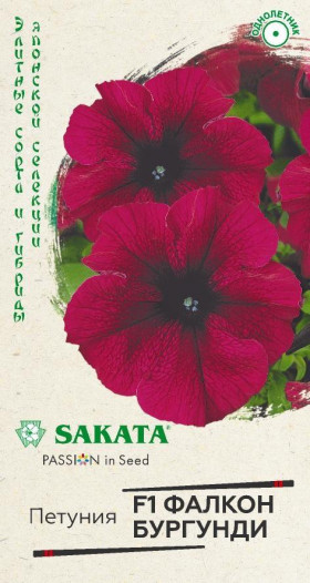 Фалкон Бургунди крупноцв. Ц(Г)