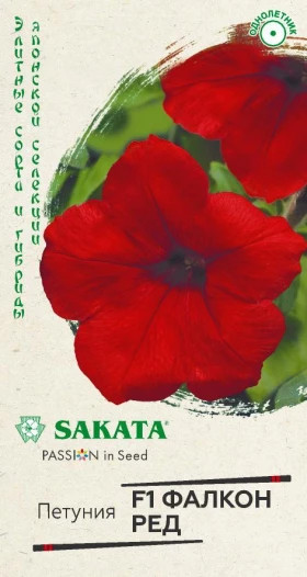 Фалкон Ред крупноцв. Ц(Г)