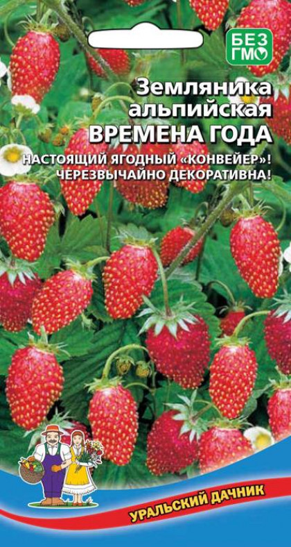 Времена Года Ц(УД)