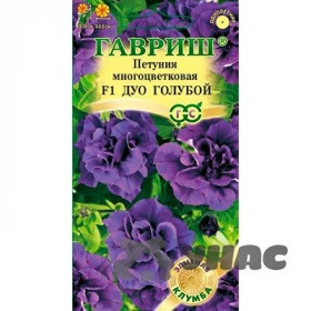 Дуо Голубой Ц(Г)