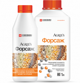 Агрис декоративно-лиственные растения  0,25 \40 шт