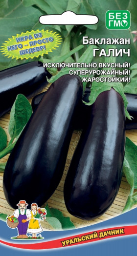 Галич Ц(УД) Новинка