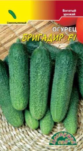 Бригадир F1/Цветущий Сад