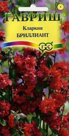 Бриллиант Ц(Г) (9973                     )