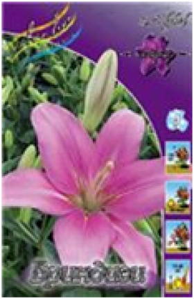 Бриндизи (ЛА) 7шт