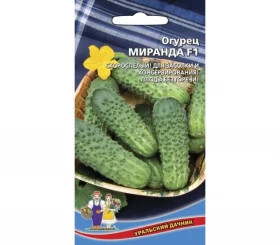 Миранда Ц(УД)