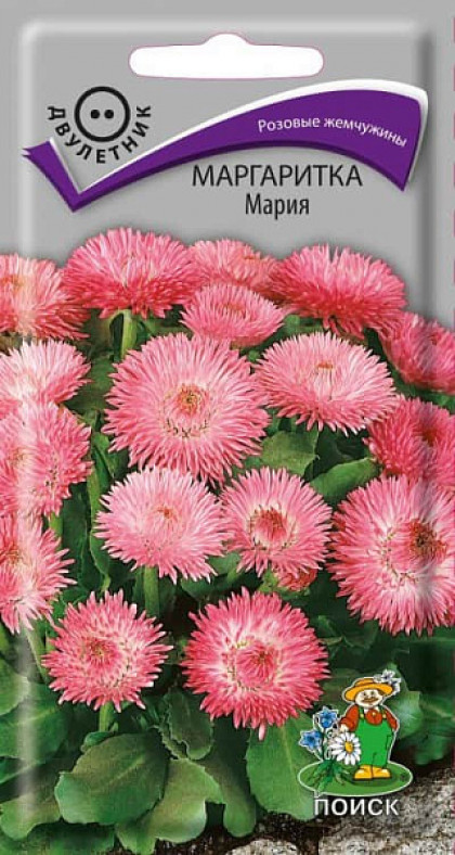 Мария Ц(Поиск)