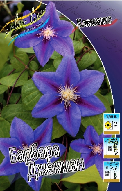 Барбара Джекман 2шт