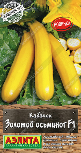 Золотой осьминог цуккини Ц(А)