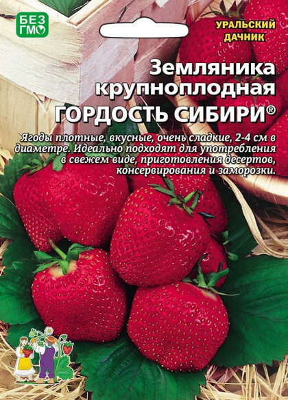 Гордость Сибири крупноплод Ц(УД) б/ф