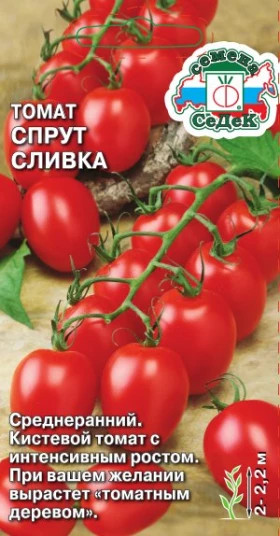 Спрут Сливка Ц(С)