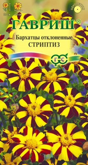 Стриптиз Ц(Г)