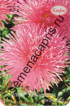 Астра Искушение лососевая Каприс 20*0,5