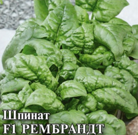 Шпинат Рембрант Каприс
