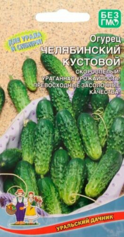 Челябинский кустовой Ц(УД) +50% бесплатно