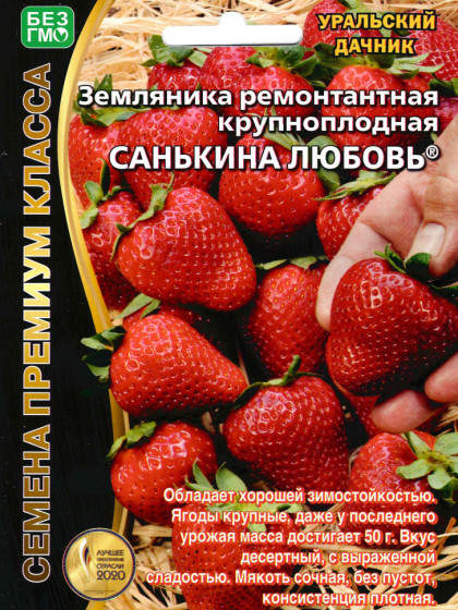 Санькина любовь ремонт Ц(УД) б/ф