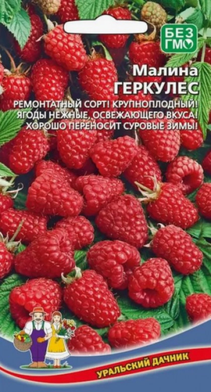 малина Геркулес Ц(УД)