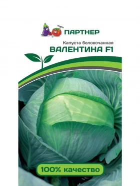 Валентина Партнер