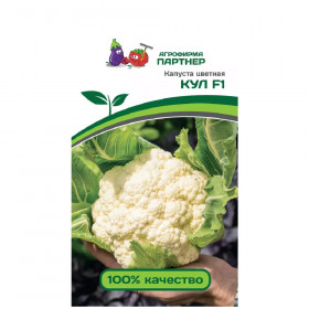 цветная Кул Партнер