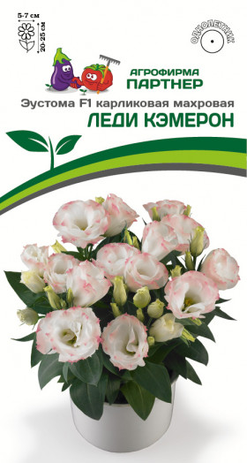 Леди Кэмерон 5шт карлик махр Партнер