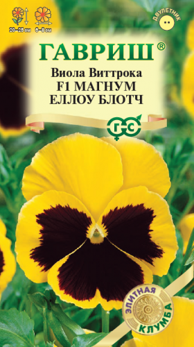 Магнум Еллоу Блотч 5шт Ц(Г)