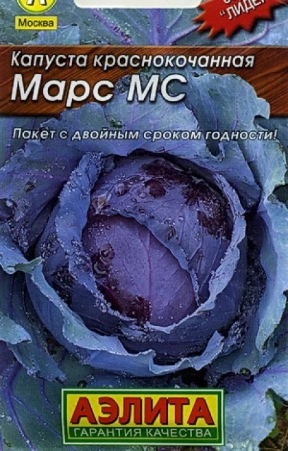 Мс семена