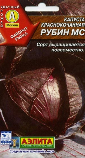 к\к Рубин МС Ц(А)