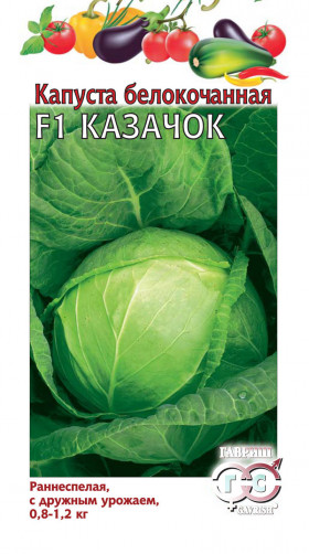 Казачок Ц(Г)