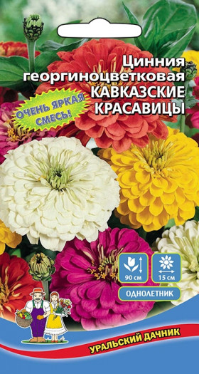 Кавказкие красавицы Ц(УД)