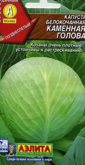 Каменна глова Ц(А)