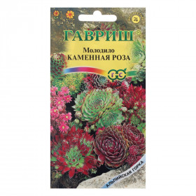 Каменная роза Ц(Г)