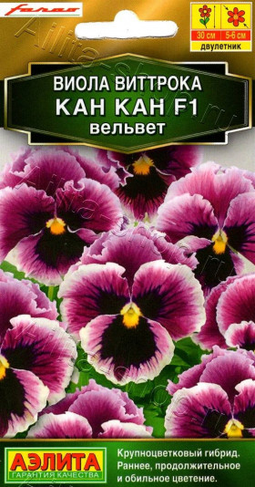 Кан Кан вельвет Ц(А)