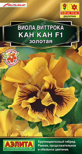 Кан Кан золотая Ц(А)