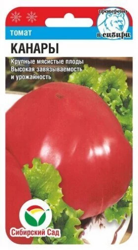 Канары 20шт СС